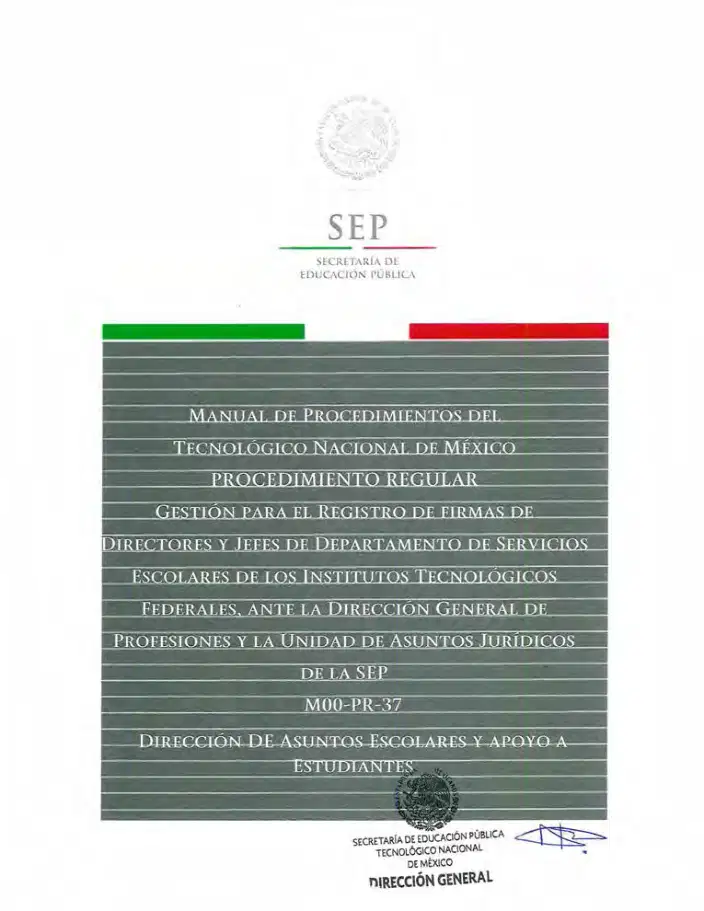 Página 300 de Manual de Procedimientos del TecNM