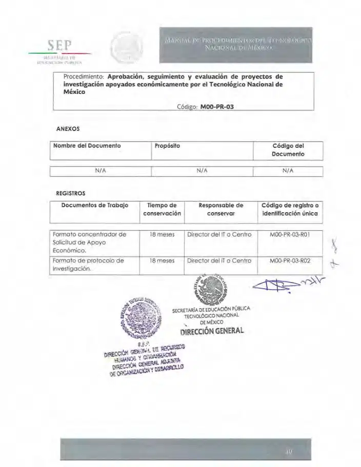 Página 46 de Manual de Procedimientos del TecNM